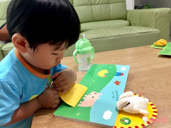 跟小羊玩躲貓貓