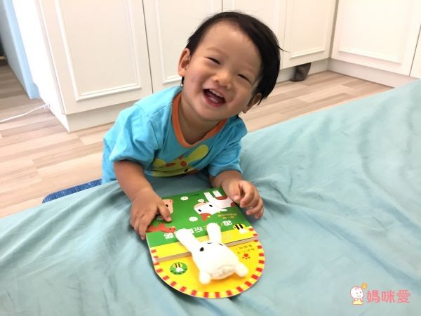 跟小羊玩躲貓貓