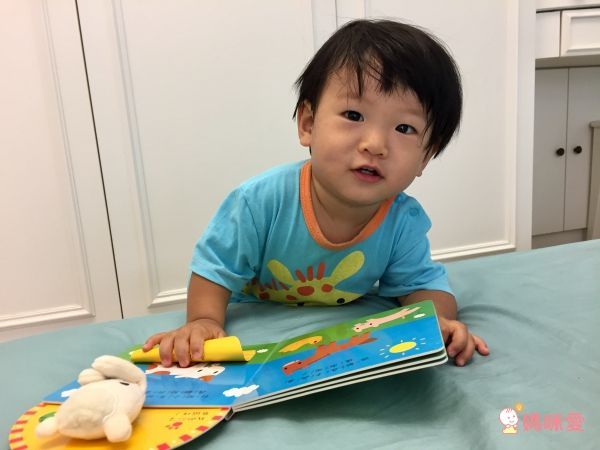 跟小羊玩躲貓貓