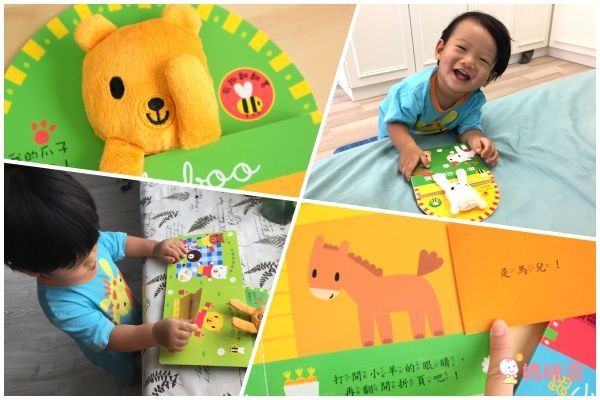 跟小羊玩躲貓貓