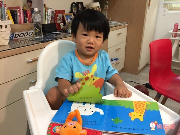 跟小猴子玩躲貓貓