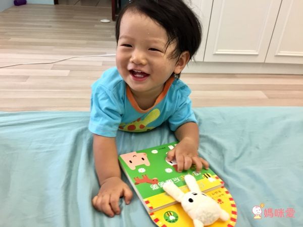 跟小羊玩躲貓貓