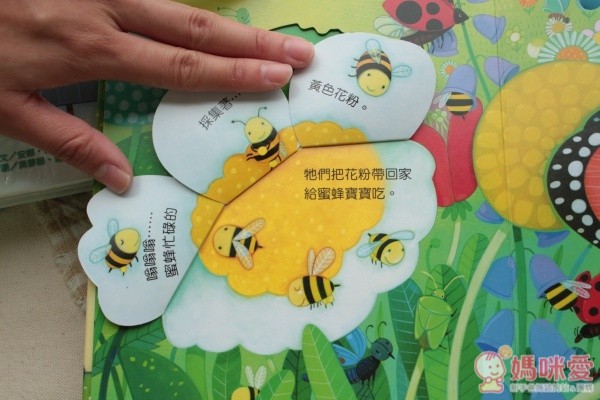 翻開街燈的圖,還可以近看街燈旁的小飛蟲長什麼樣子喔!公園裡的蝙蝠,還會捕捉空中的昆蟲呢!