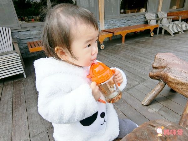 網路聲量 No.1 水杯！韓國朴蜜兒 Pomier 果汁杯 、水果棒