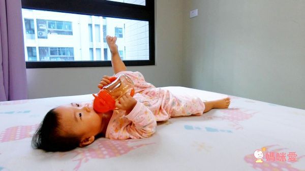 網路聲量 No.1 水杯！韓國朴蜜兒 Pomier 果汁杯 、水果棒