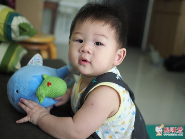 美國 Kids Preferred 親子旋轉音樂玩偶：鯨魚