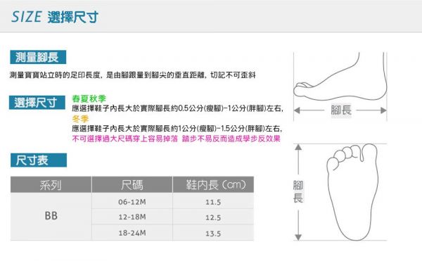 Little Blue Lamb男女小童鞋 ❤ 真皮好穿 ，踏步嗶嗶叫 ～讓學走路變有趣 ♪