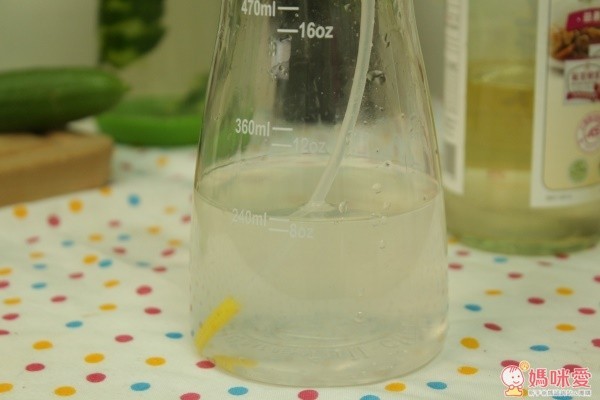 Full Circle 萬用 DIY 清潔噴霧瓶