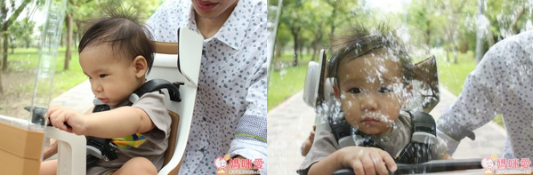 【荷蘭Bobike】頂級自行車安全座椅