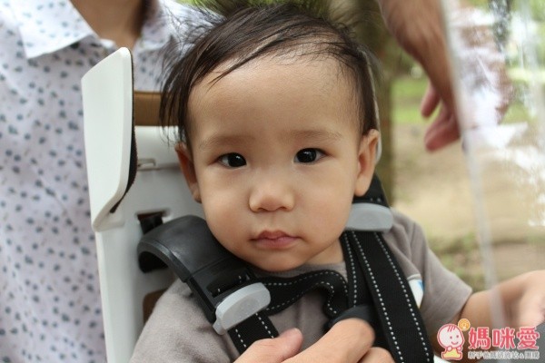 【荷蘭Bobike】頂級自行車安全座椅