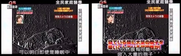 日本 THREE-UP 除菌除塵蟎機