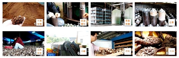 鹿窯菇事有機乾冬菇