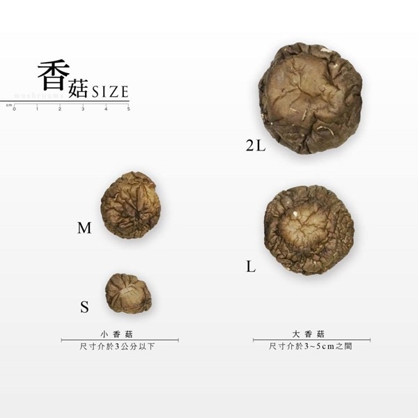 鹿窯菇事有機乾冬菇