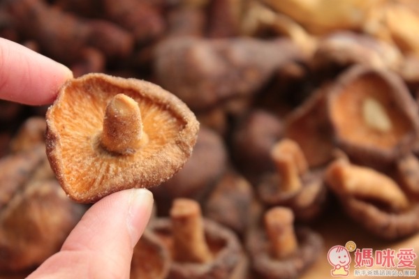 鹿窯菇事講菇事