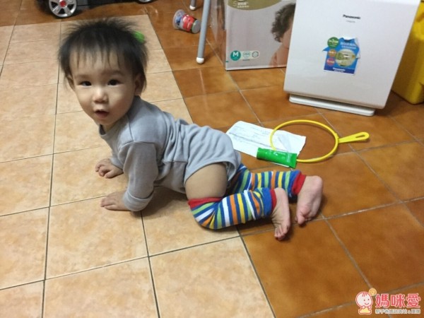 Minerva 米諾娃動物奇想系列 