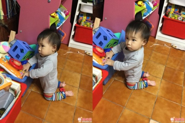 Minerva 米諾娃動物奇想系列 