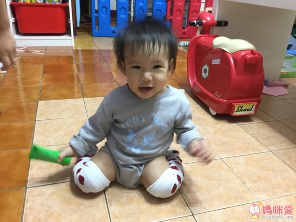 Minerva 米諾娃動物奇想系列 