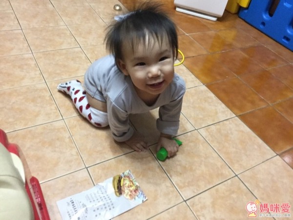 Minerva 米諾娃動物奇想系列 