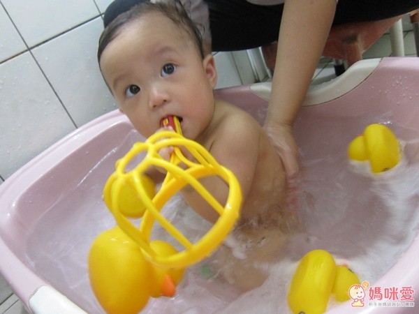 Tolo Bath-duck 黃色小鴨