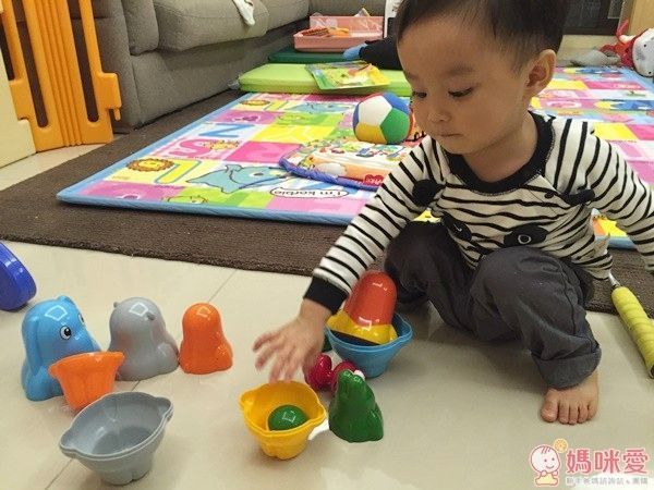 Tolo 動物保齡球組