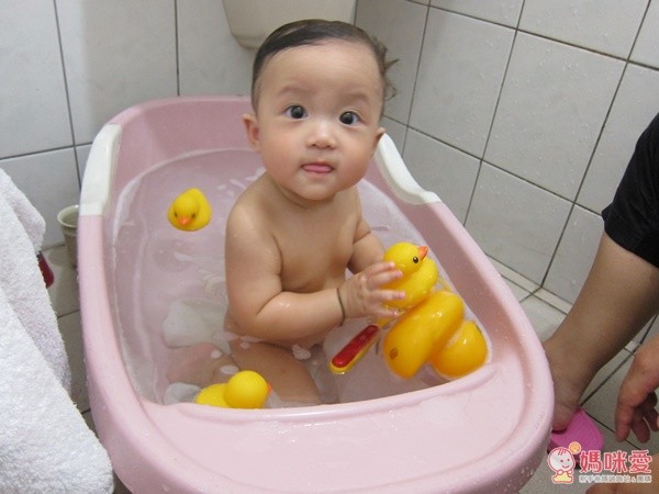 Tolo Bath-duck 黃色小鴨