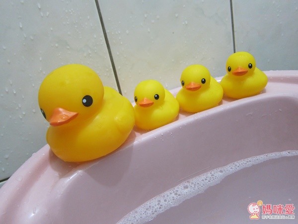 Tolo Bath-duck 黃色小鴨