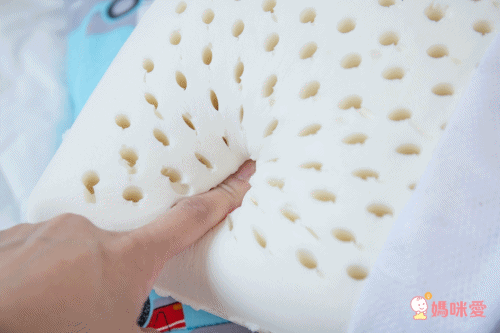 鴻宇 HongYew - 防螨抗菌100%美國棉兒童標準型天然乳膠枕-恐龍公園-1896-藍