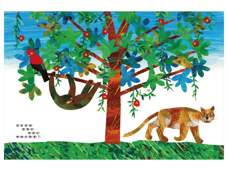 好慢、好慢、好慢的樹懶