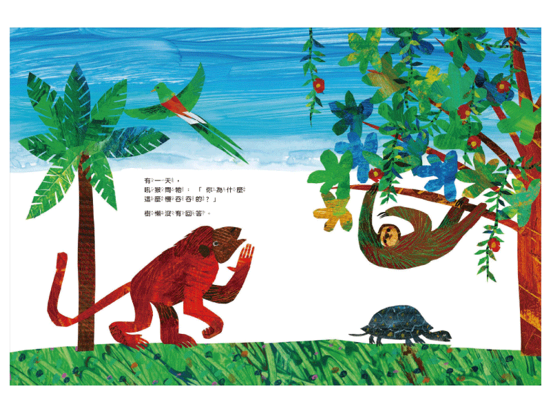 好慢、好慢、好慢的樹懶