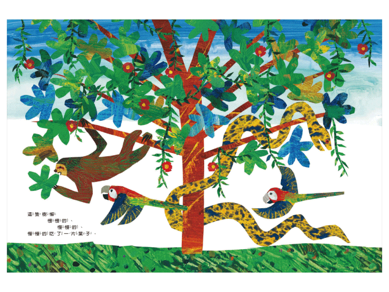 好慢、好慢、好慢的樹懶