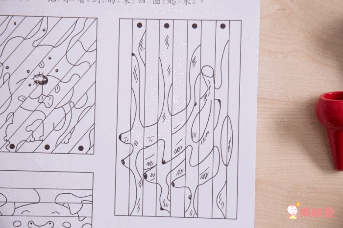 小牛頓科學教育有限公司 - 小牛頓趣味邏輯思維訓練-平裝-全彩 (3-6歲)-全套六冊