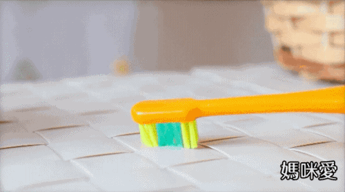 日本 U-COMPANY - 童趣動物上蓋吸盤式牙刷-柴犬-橘 (3y+)