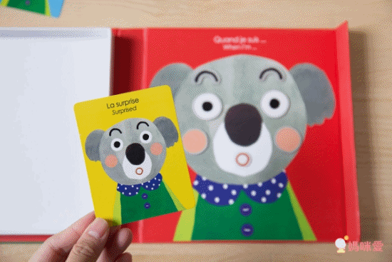 Moulin Roty - 磁性遊戲-無尾熊的表情