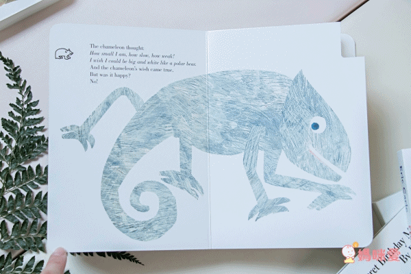 全球知名童書大師艾瑞卡爾Eric Carle ★英文認知硬頁書★ 一歲就能入手～給幼兒最棒的英文學習禮物！