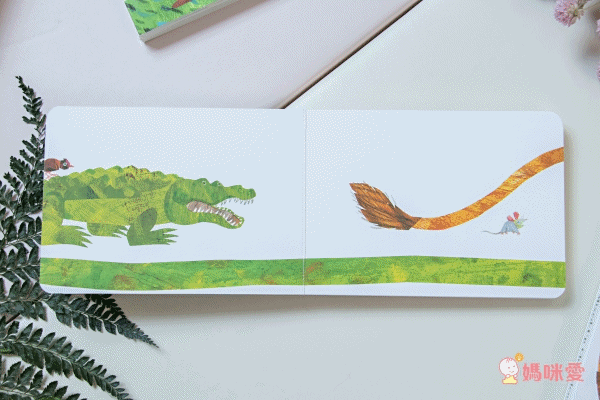 全球知名童書大師艾瑞卡爾Eric Carle ★英文認知硬頁書★ 一歲就能入手～給幼兒最棒的英文學習禮物！