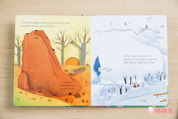 下殺42折！六本精裝只要 $999 ✦ 英國 Usborne ✦ Peep Inside 系列