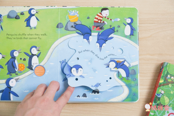 下殺42折！六本精裝只要 $999 ✦ 英國 Usborne ✦ Peep Inside 系列