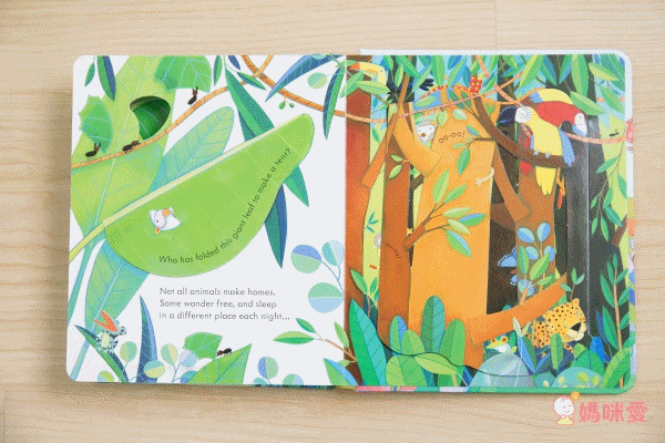 下殺42折！六本精裝只要 $999 ✦ 英國 Usborne ✦ Peep Inside 系列