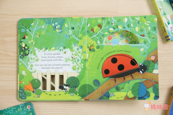 下殺42折！六本精裝只要 $999 ✦ 英國 Usborne ✦ Peep Inside 系列