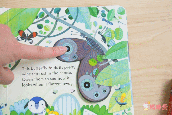 下殺42折！六本精裝只要 $999 ✦ 英國 Usborne ✦ Peep Inside 系列