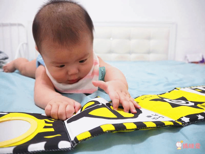 小瓢蟲中英雙語系列 ★啟蒙認知五書組★ 0歲開始看,依寶寶視覺發展階段設計!