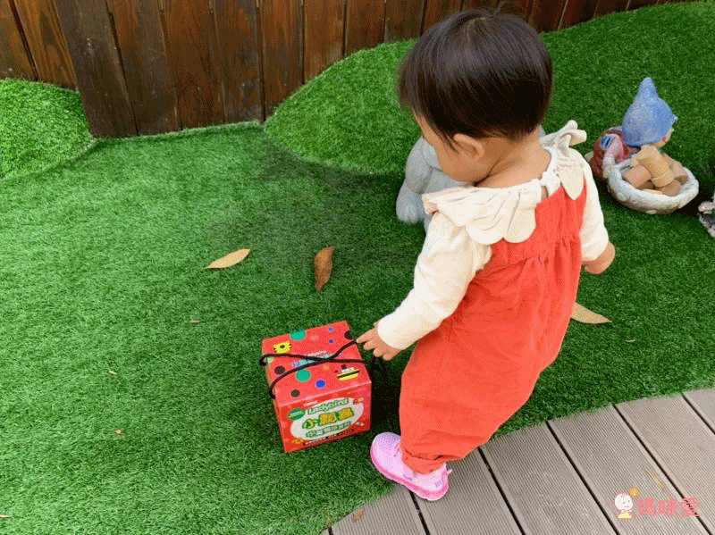 小瓢蟲中英雙語系列 ★啟蒙認知五書組★ 0歲開始看,依寶寶視覺發展階段設計!