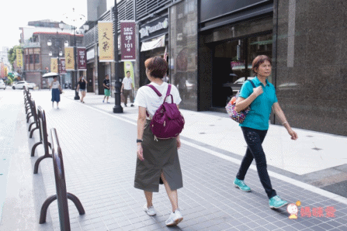 HARUhonpo 小晴天本舖 - Harulez 日本設計師の聯名款-Shiny微金質感輕背包-香檳金