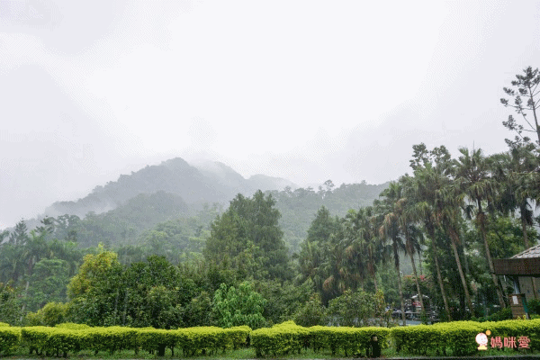 統一渡假村【新竹馬武督】全面升等四人房❤全新綠野仙蹤秘境，孩子放電太好玩！