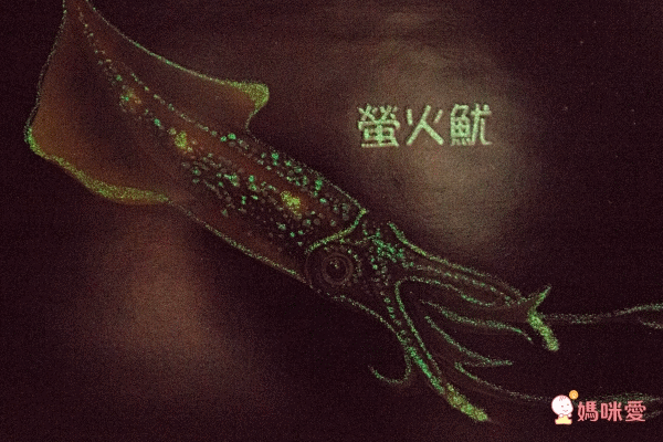 音效書新品上市♔孩子的第一本古典音樂啟蒙 ♫