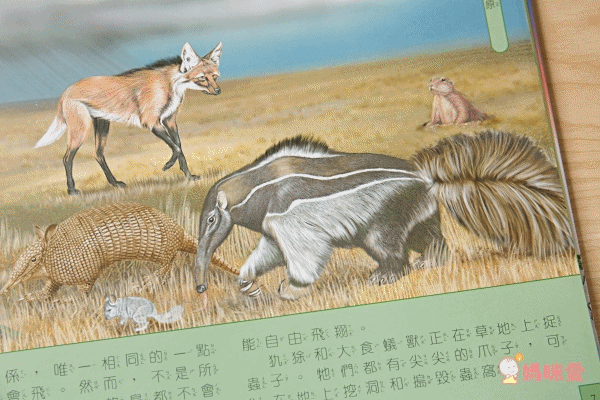 音效書新品上市♔孩子的第一本古典音樂啟蒙 ♫