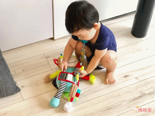 法國 Dolce Toys - 感統玩偶-超級保姆蒙奇