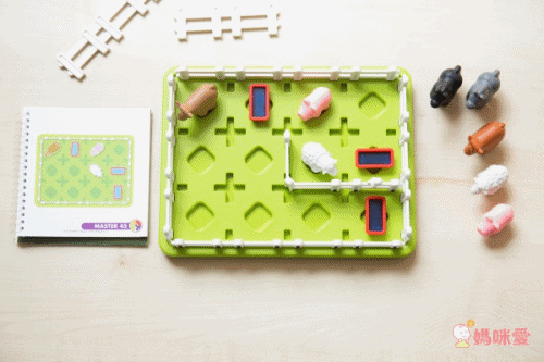 Miss Jill x Evan哥 專屬團購 ♕ 比利時SMART GAMES益智桌遊