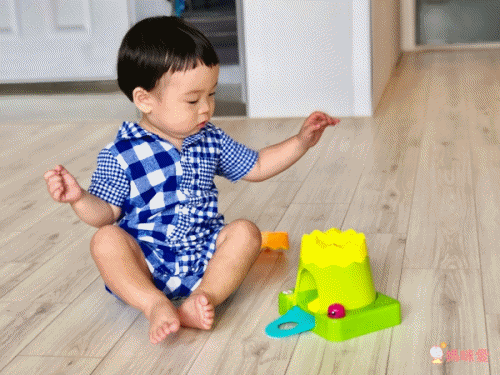 林心如推薦【費雪 Fisher Price】聲光小怪獸／安撫海馬