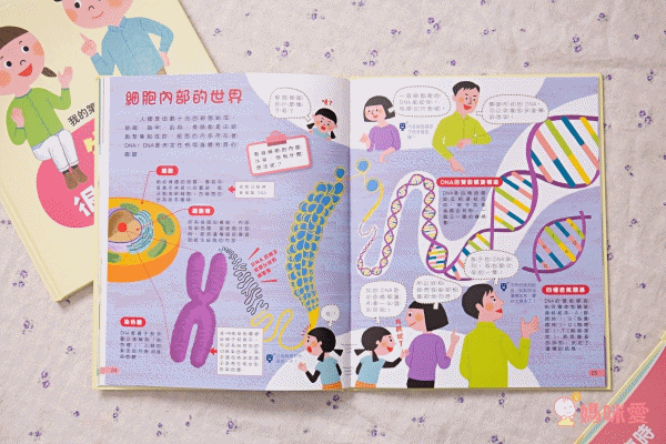 孩子專屬的護身寶典★【親子天下】我的第一套安全知識繪本 / 生命科學繪本 / 家事小幫手 ☞STEAM科學繪本專家推薦！